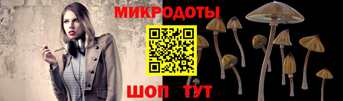 Галлюциногенные грибы Psilocybine cubensis Нерюнгри